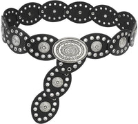 Oval Disc Belts